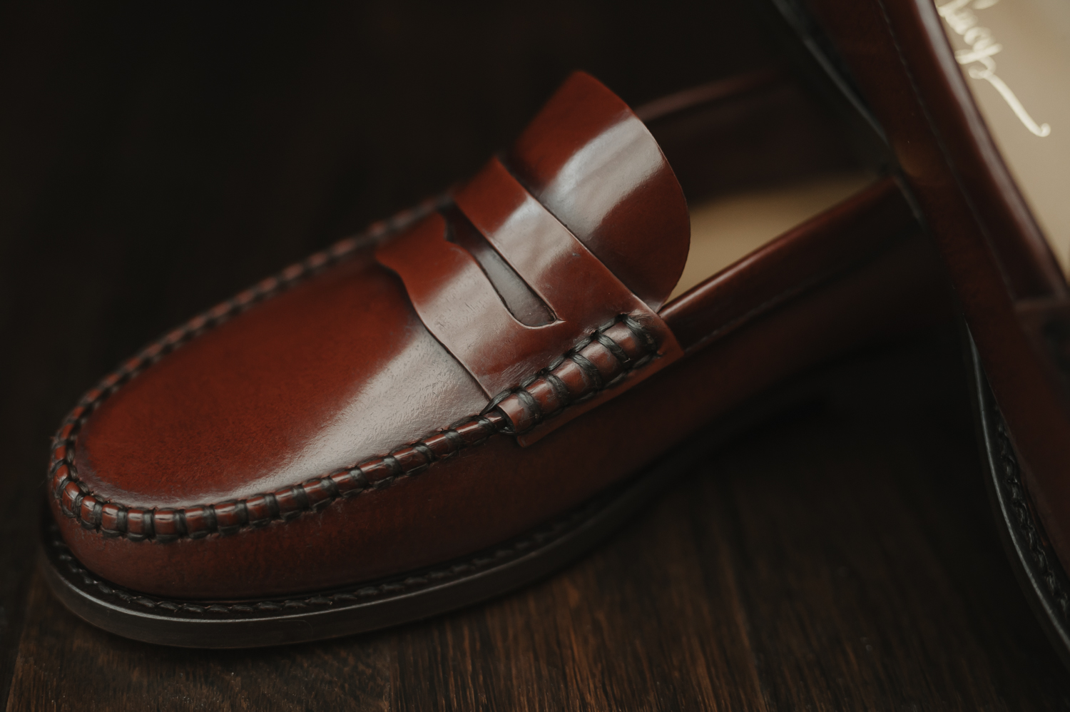 Penny Loafer, Weejuns, College Shoe, Slipper, Balboa shoes, Swing dance shoe, Lindy hop shoes